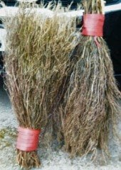 Çalı Özel Bantlı 500 Adet