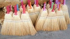 Toptan Siboplu Plastik Saplı Ot Süpürge (20 Adet)